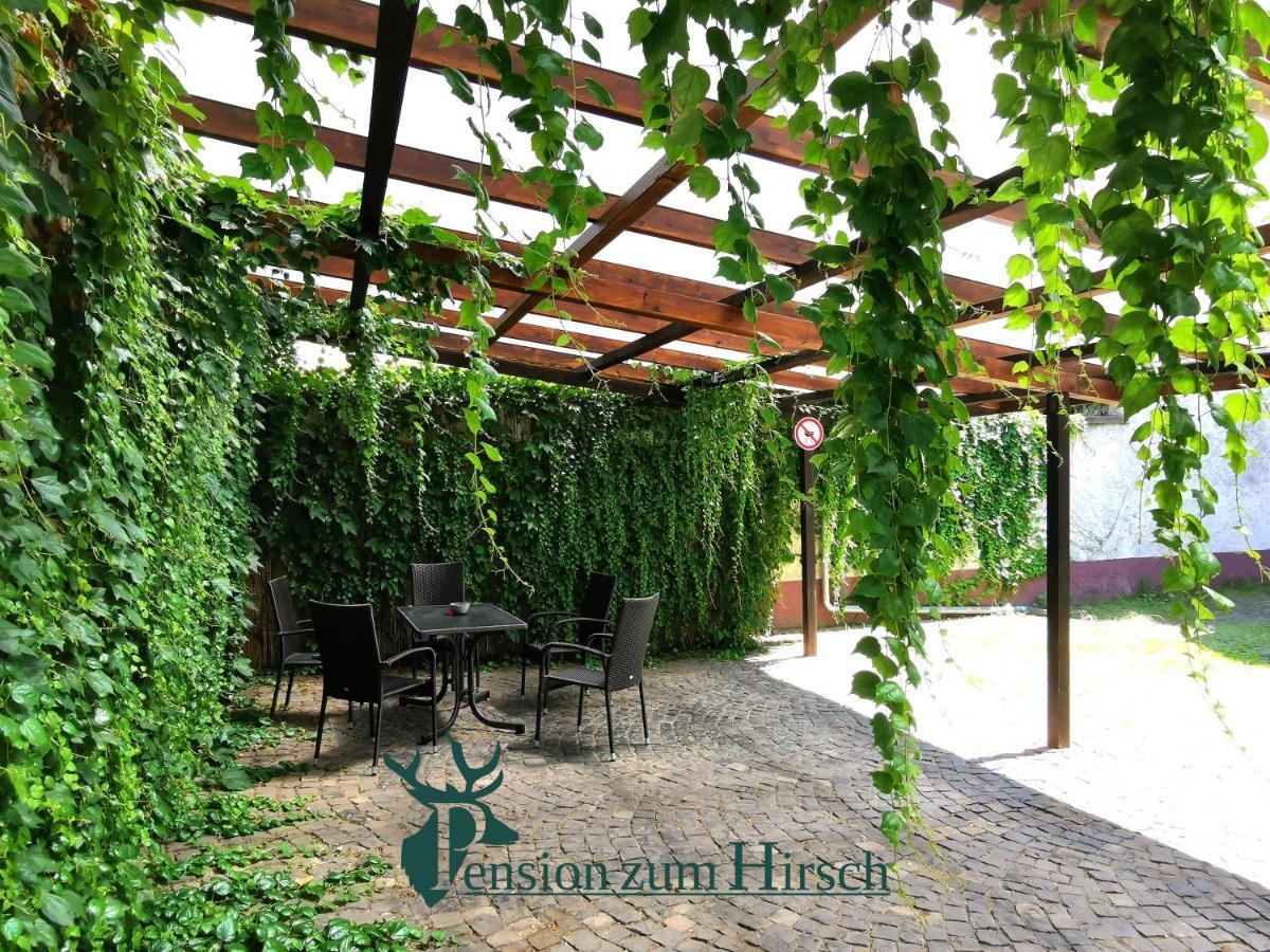 Hotel-Pension Zum Hirsch 하터쉐임 외부 사진