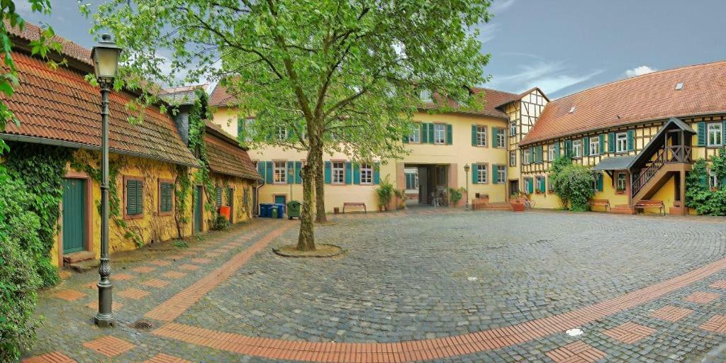Hotel-Pension Zum Hirsch 하터쉐임 외부 사진